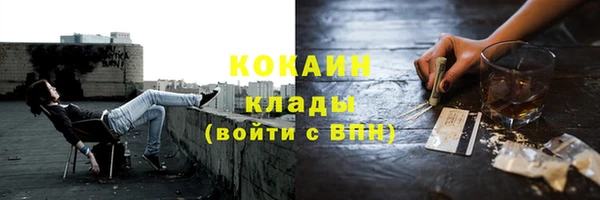дживик Краснослободск