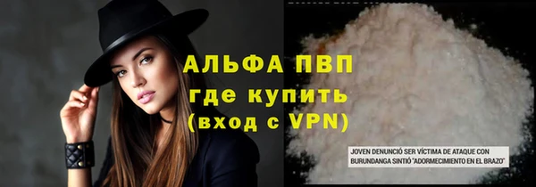 дживик Краснослободск