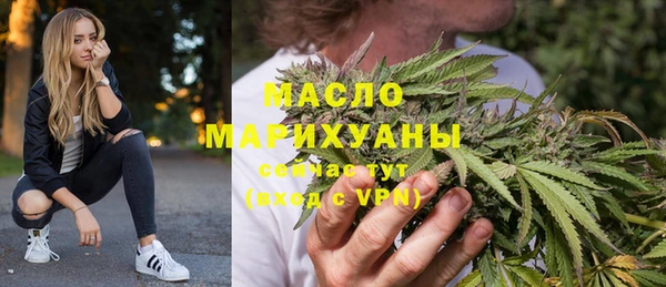 дживик Краснослободск