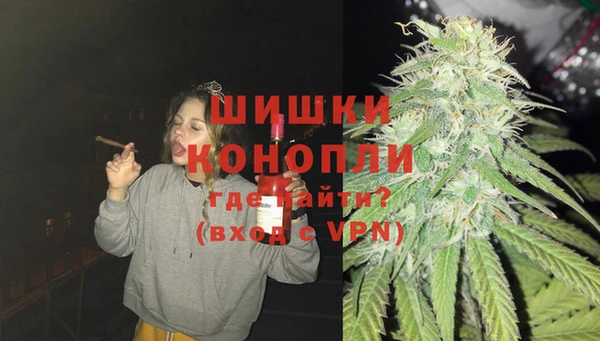 дживик Коряжма
