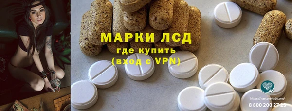 дживик Краснослободск