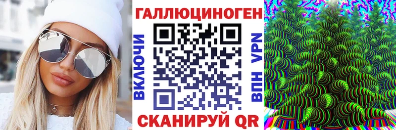 Галлюциногенные грибы Psilocybine cubensis  Малмыж 